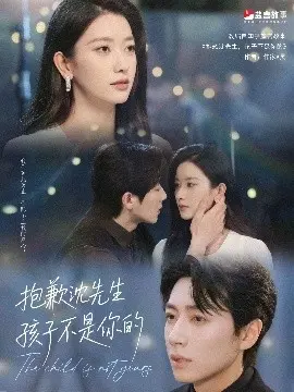 抱歉沈先生孩子不是你的 海报