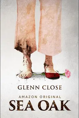 《海橡树》：一场荒诞与温情交织的生命奇遇