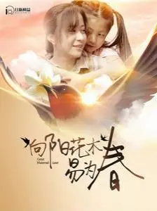 《向阳花木易为春》：坚韧女性的励志成长之路