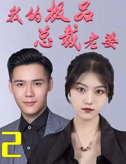 《我的极品总裁老婆》：甜蜜爱情与职场挑战的浪漫喜剧