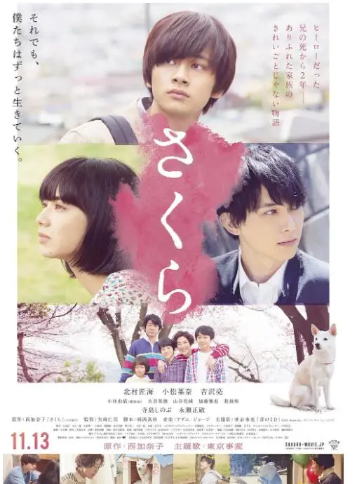 《樱》：青春的迷惘与成长的阵痛，一场关于救赎与告别的诗意叙事