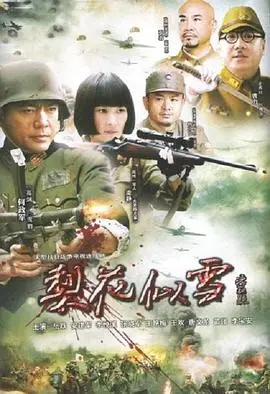 《梨花似雪》：一段凄美动人的东方爱情史诗，感受传统韵味下的深情告白